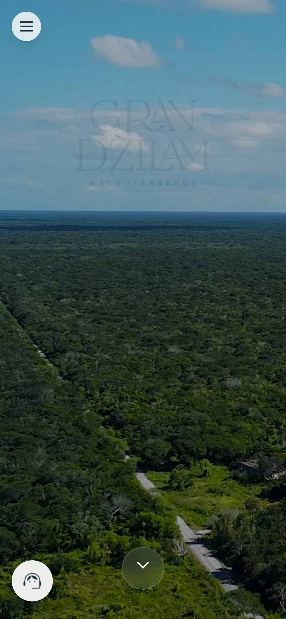 Portada de Gran Dzilam en el celular: toma aérea de la selva yucateca con un camino que la cruza.